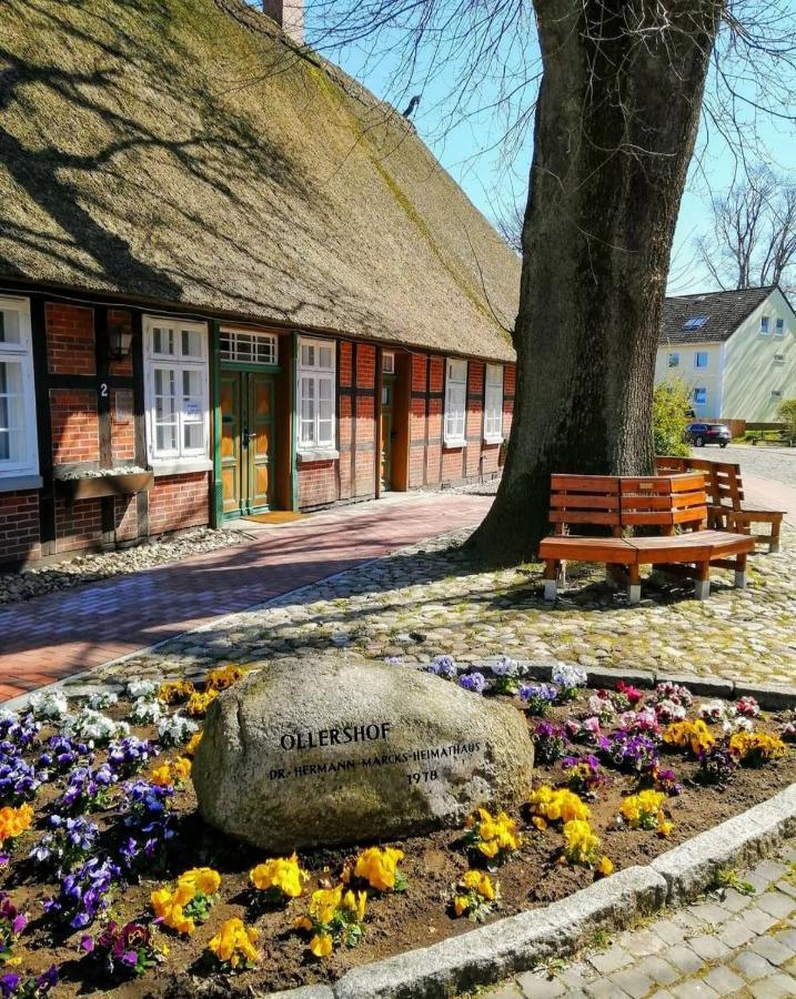 Hotel Kaiserhof Munster im Heidekreis Exteriér fotografie